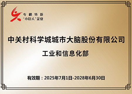国家专精特新“小巨人”