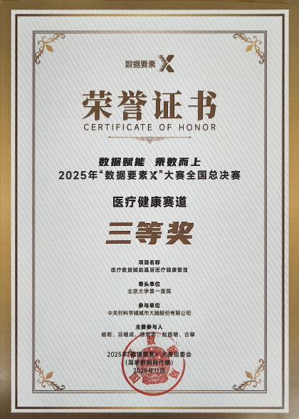 2025年“数据要素X”大赛医疗健康赛道全国第六名