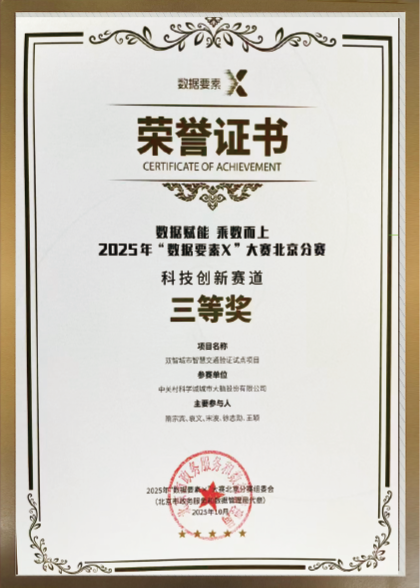 2025年“数要要素X”大赛科技创新赛道北京赛区第三名